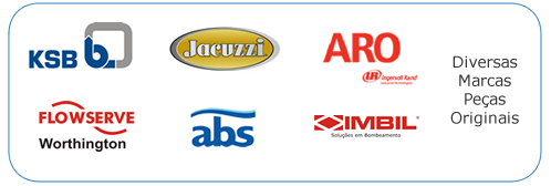 Manutenção de Bombas Submersas